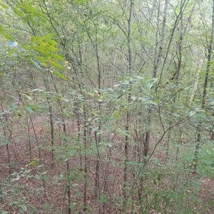 Meet your Posher, Randy